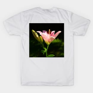 Pink Scented Lily under the apple tree. T-Shirt